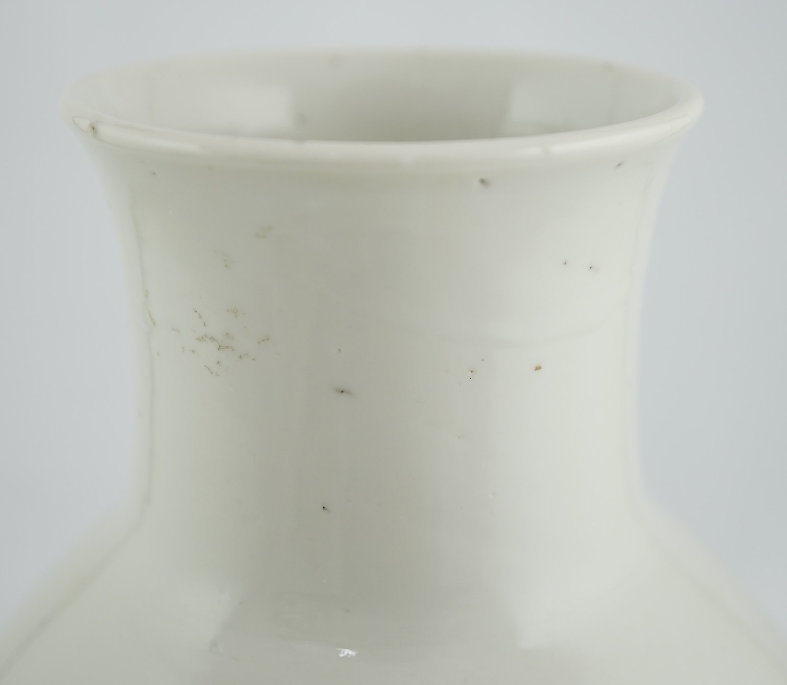 A large Chinese blue and white ovoid vase, early 20th century, firing crack